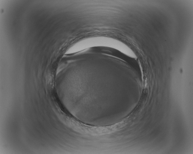 X0000083660031200703051803