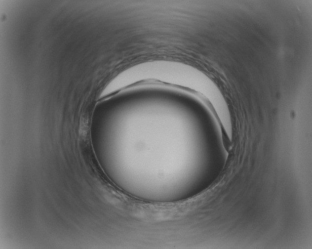 X0000083660033200703051803