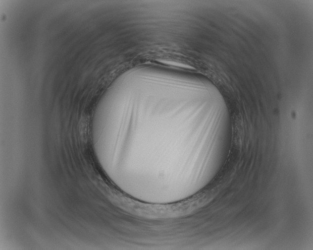 X0000083660034200703051803