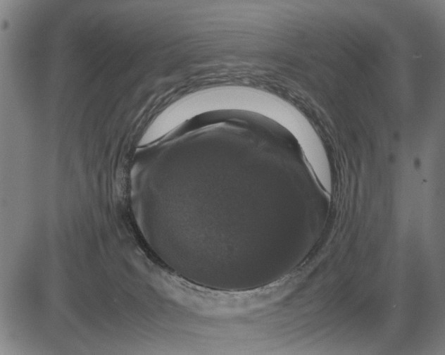 X0000083660035200703051803