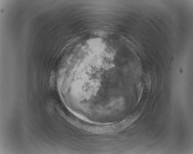 X0000083660036200703051803