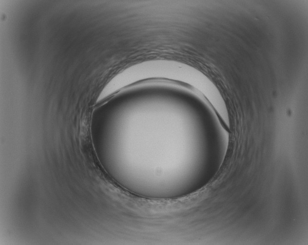 X0000083660037200703051803