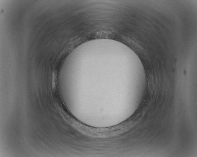 X0000083660038200703051803