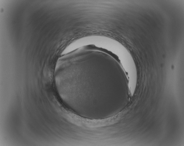 X0000083660039200703051803