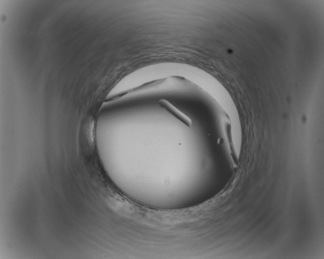 X0000083660041200703051803