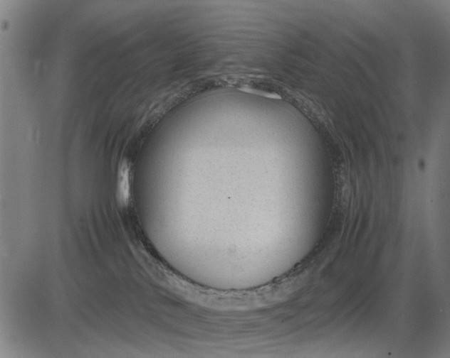 X0000083660042200703051803