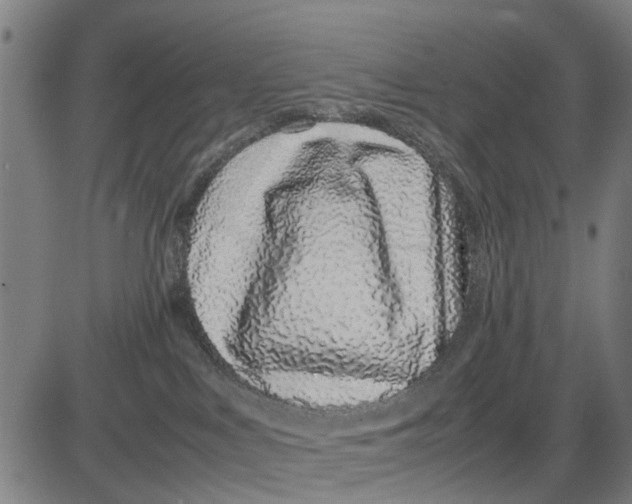 X0000083660043200703051803