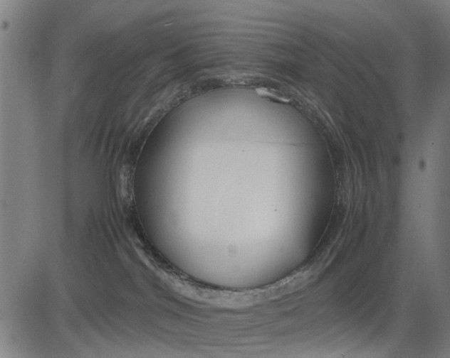 X0000083660044200703051803