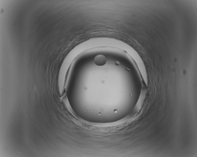 X0000083660045200703051803