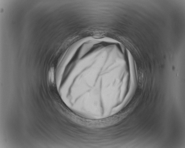 X0000083660046200703051803