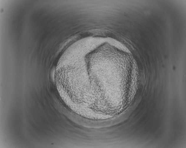 X0000083660047200703051803