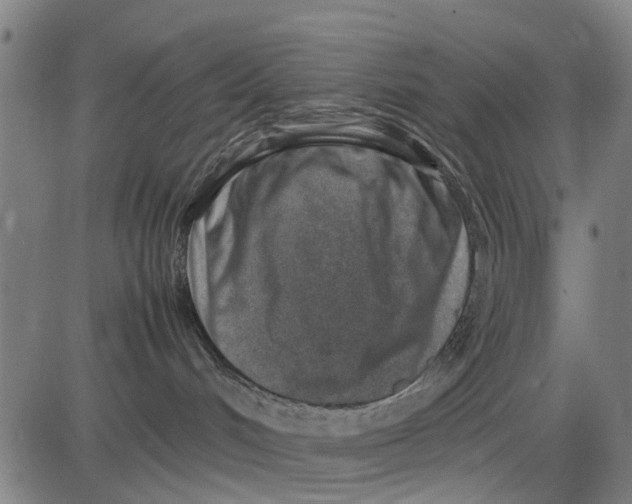 X0000083660048200703051803