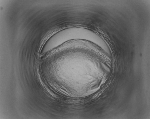 X0000083660049200703051802