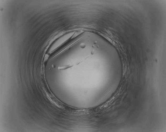 X0000083660050200703051802