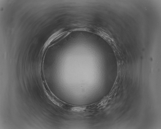 X0000083660051200703051802