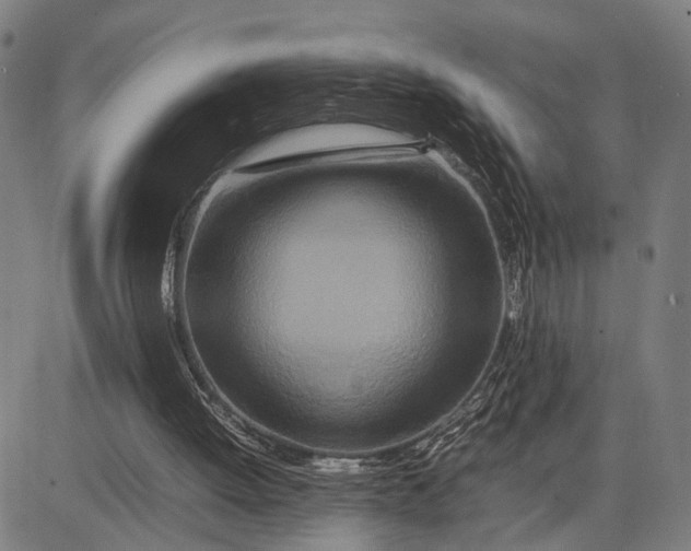 X0000083660052200703051802