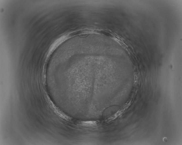 X0000083660053200703051802