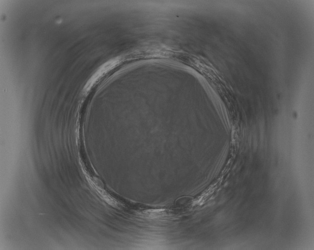 X0000083660054200703051802