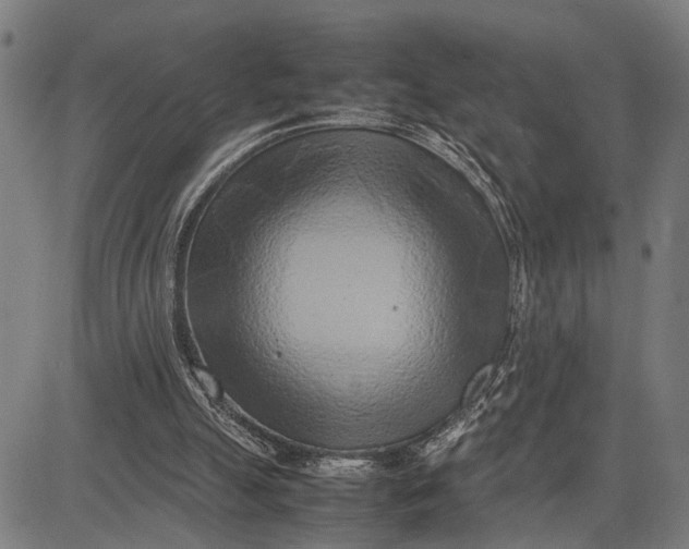 X0000083660055200703051802