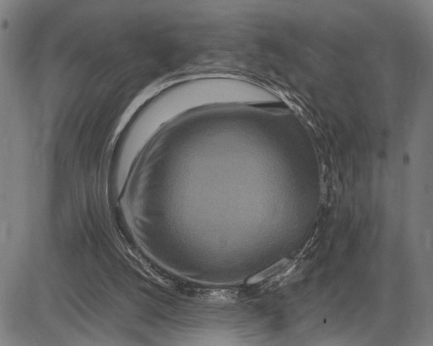 X0000083660056200703051802