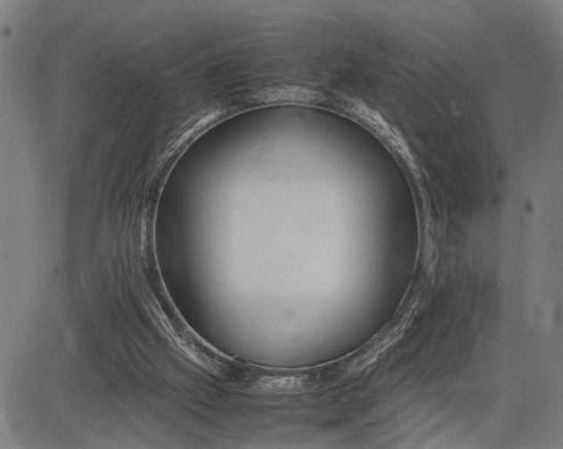 X0000083660057200703051802