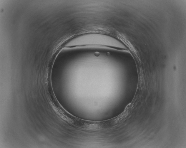 X0000083660058200703051802