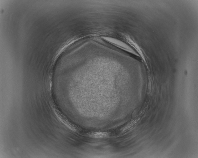 X0000083660059200703051802