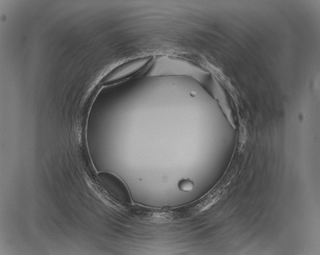 X0000083660060200703051802