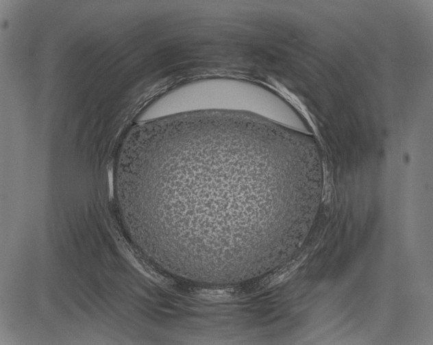 X0000083660061200703051802