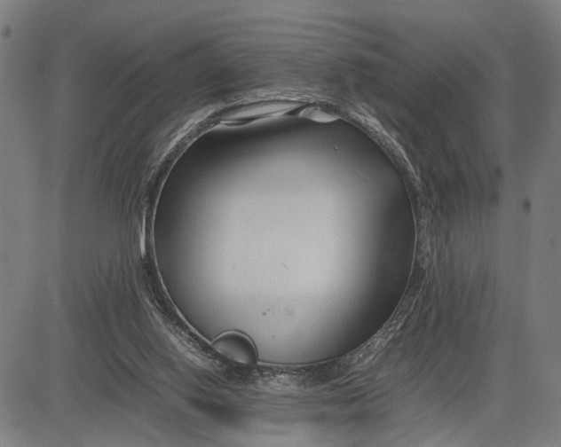 X0000083660062200703051802