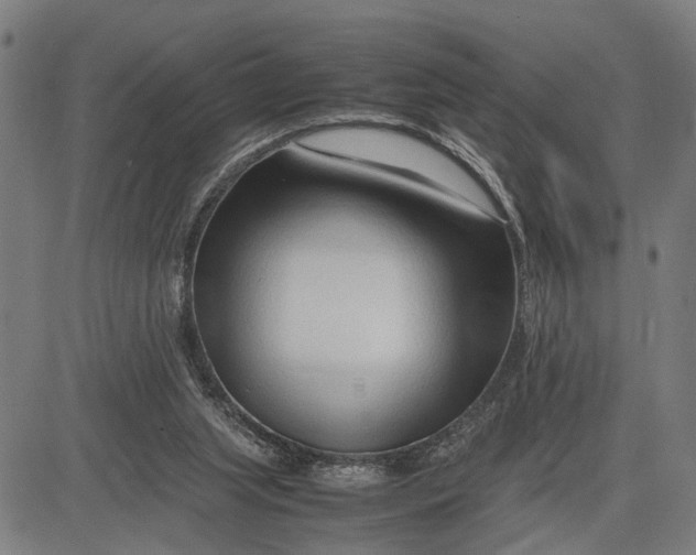 X0000083660063200703051802