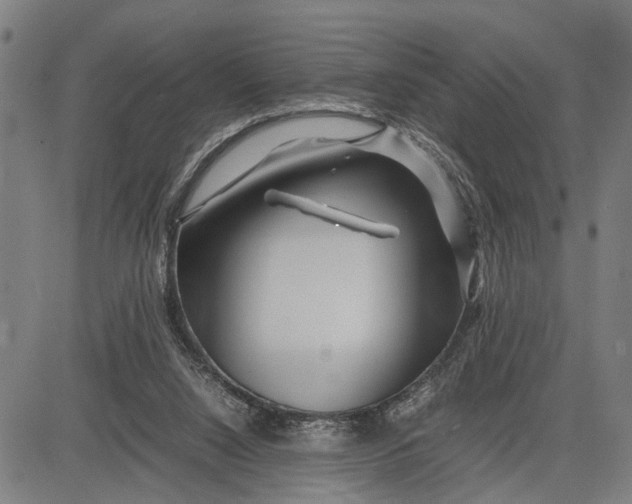 X0000083660064200703051802