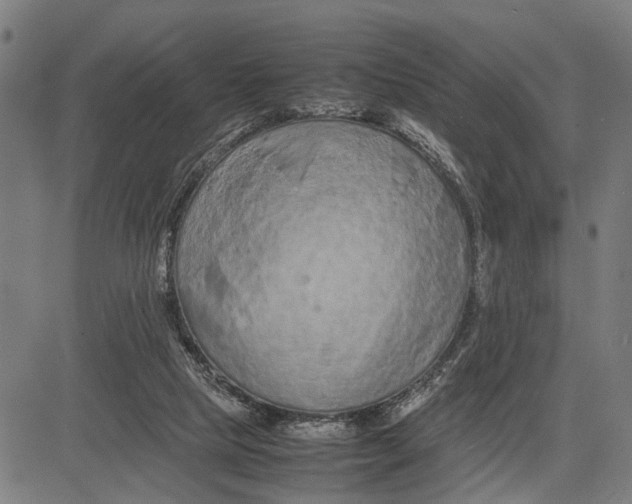 X0000083660065200703051802