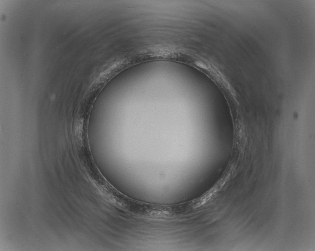 X0000083660066200703051802