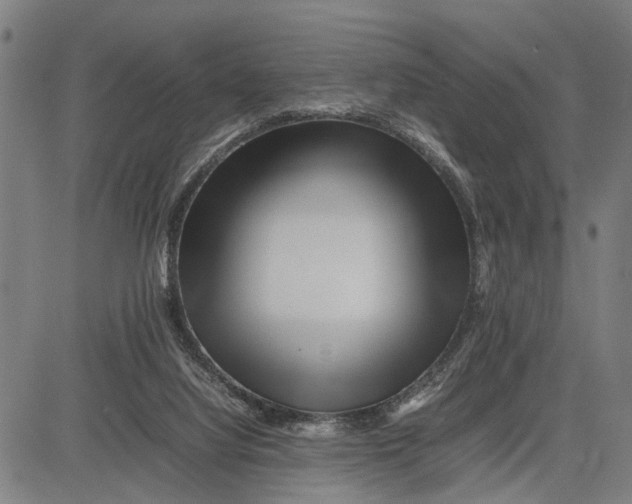 X0000083660068200703051802