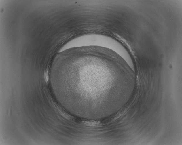 X0000083660069200703051802