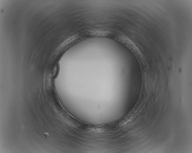 X0000083660071200703051802