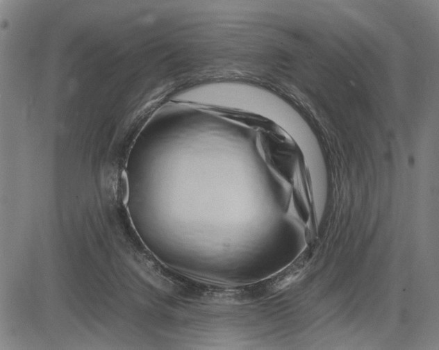 X0000083660072200703051802