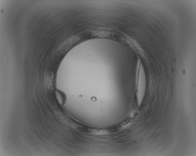 X0000083660073200703051802