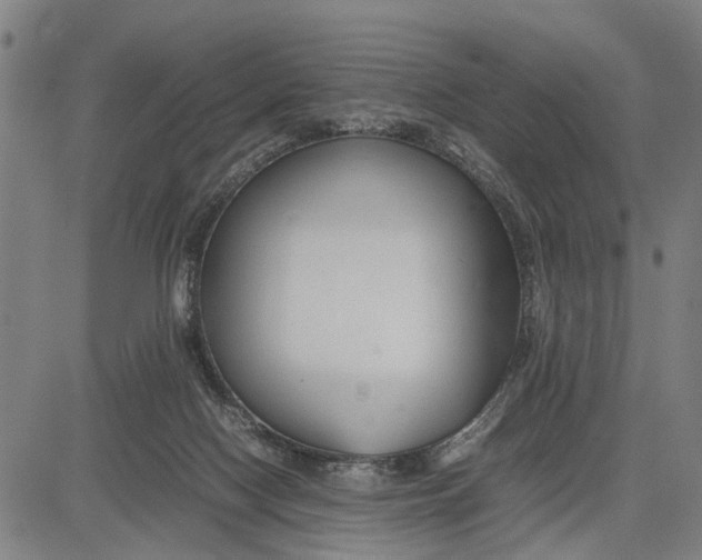 X0000083660074200703051802