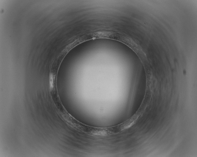 X0000083660075200703051803