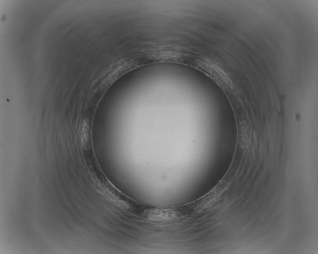 X0000083660077200703051803