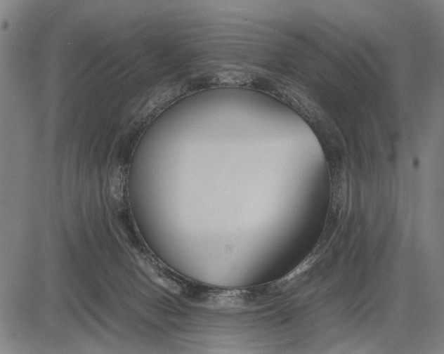 X0000083660078200703051803