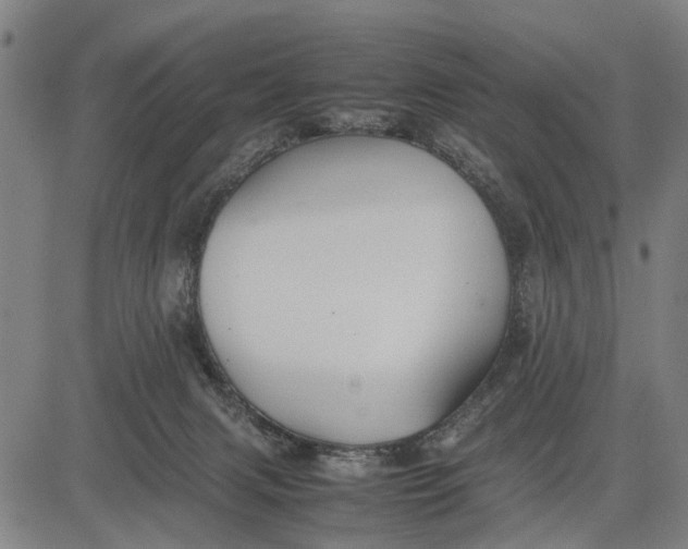 X0000083660079200703051803