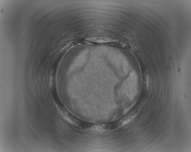 X0000083660080200703051803