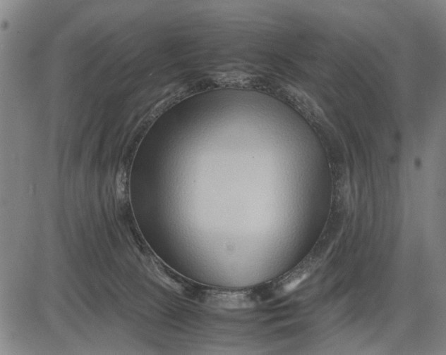 X0000083660081200703051803