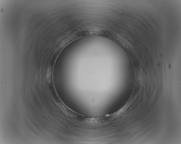 X0000083660082200703051803