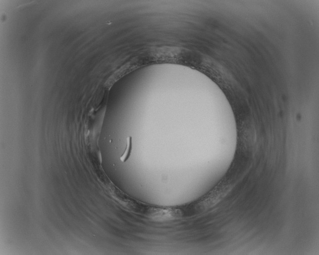 X0000083660083200703051803