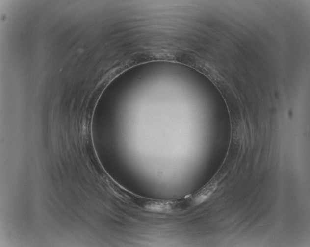 X0000083660084200703051803