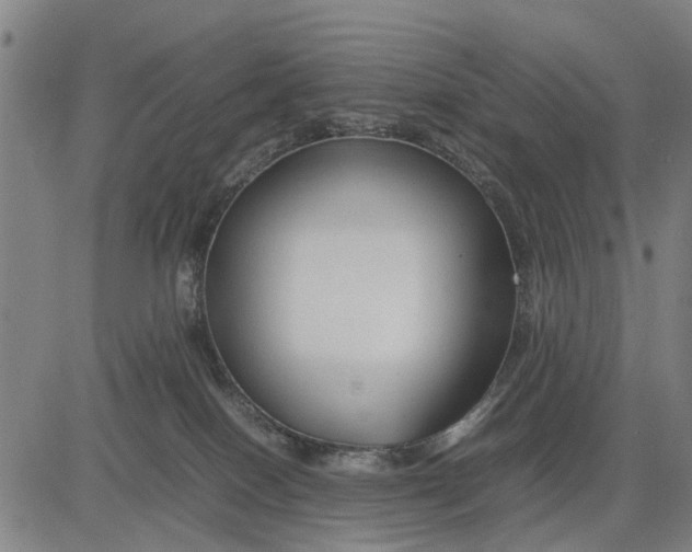 X0000083660086200703051803